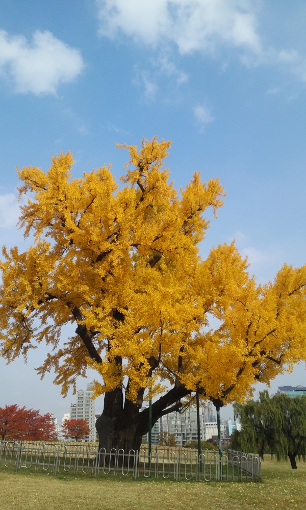 31ad90b69e02d92b1acda57fbbedb990_1448714