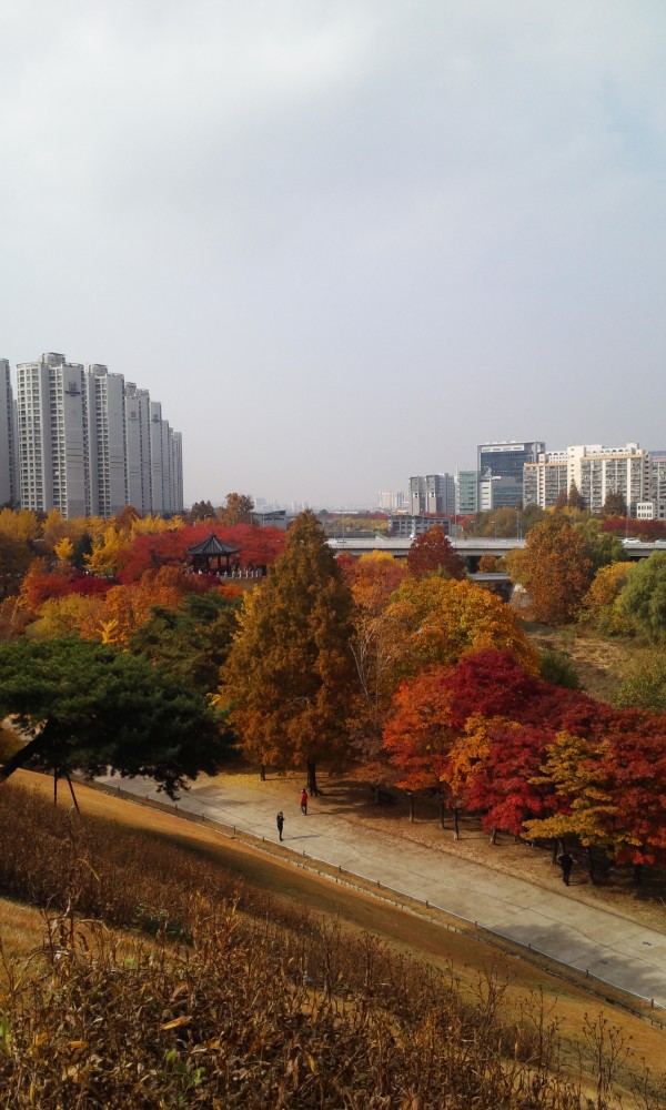 344c048976d75af69f2d9e9207573775_1448420