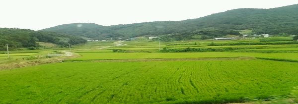 c993a9a6bf52c32037c7a065d607baac_1449026