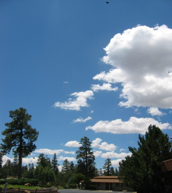 9029987b62dde3567933a25c1f79f7a7_1456636