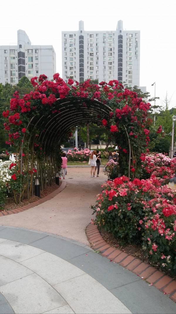 28a08cf425b1178ec24cde3666e06e58_1465218