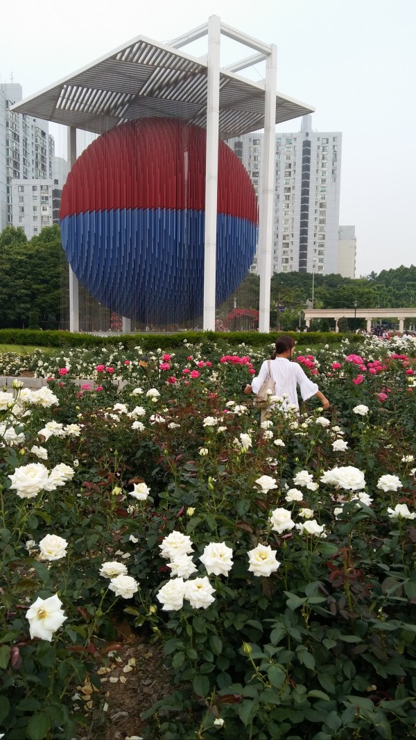 28a08cf425b1178ec24cde3666e06e58_1465218