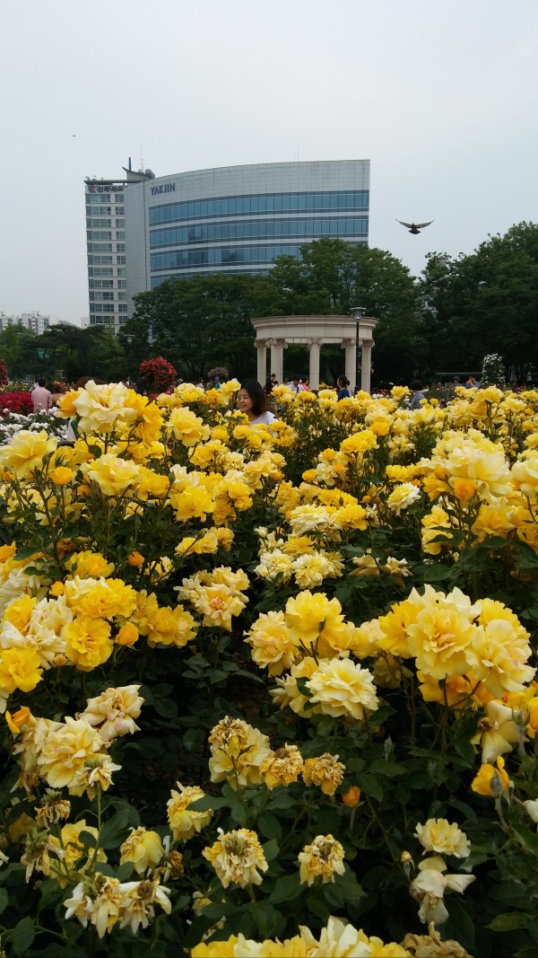 28a08cf425b1178ec24cde3666e06e58_1465218