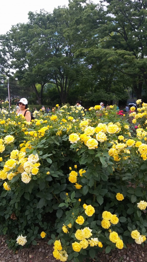 28a08cf425b1178ec24cde3666e06e58_1465218