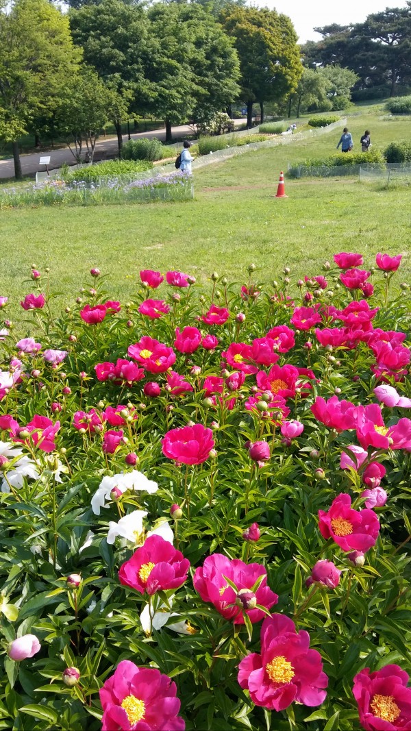 28a08cf425b1178ec24cde3666e06e58_1465218