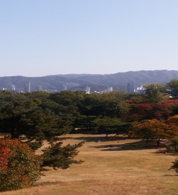 b9a0c1d9752b89b1a5a4c2fa51620a61_1477816