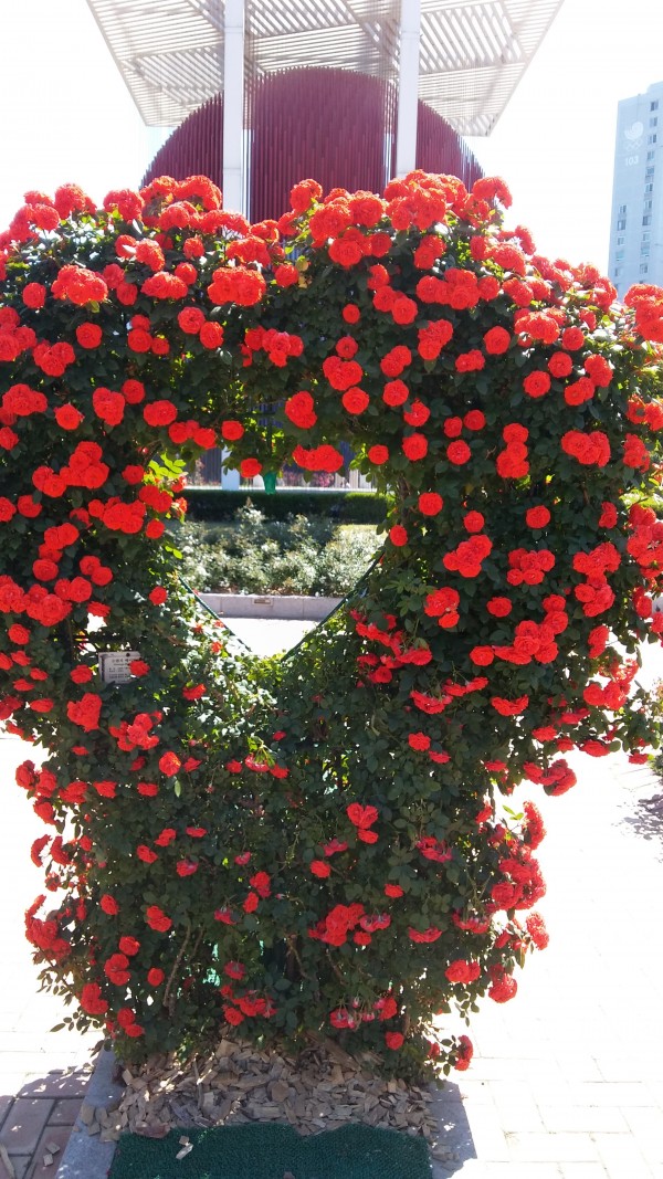 2f89db1afc61a0d099d091aa984d6d3e_1495975