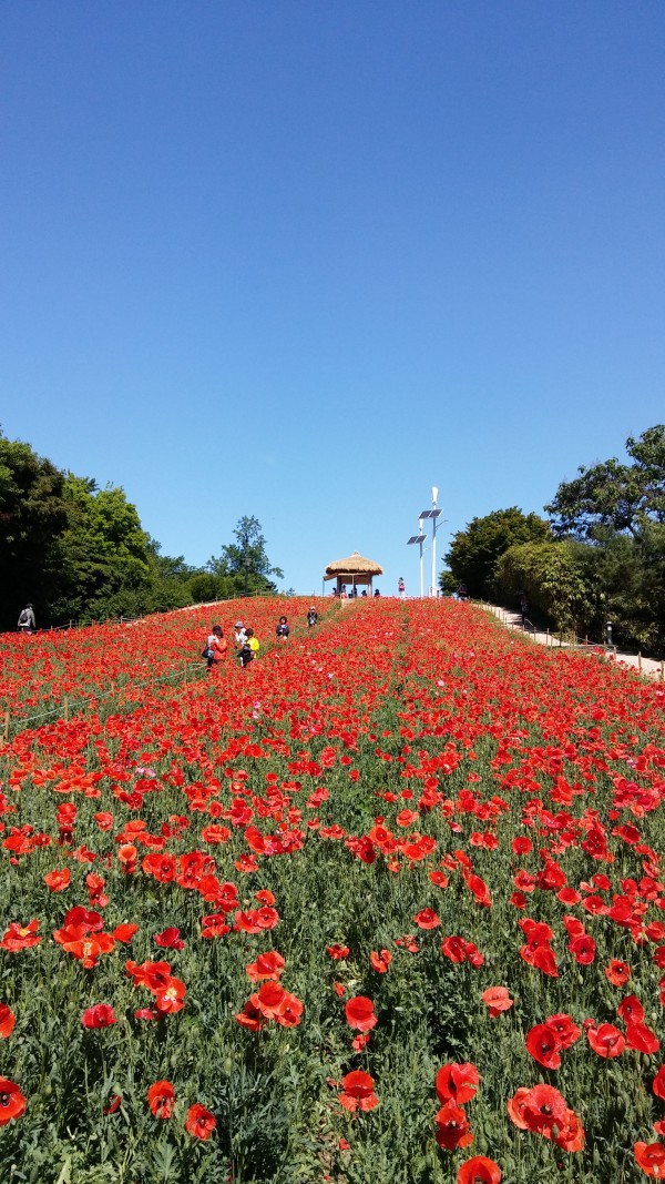 2f89db1afc61a0d099d091aa984d6d3e_1495975