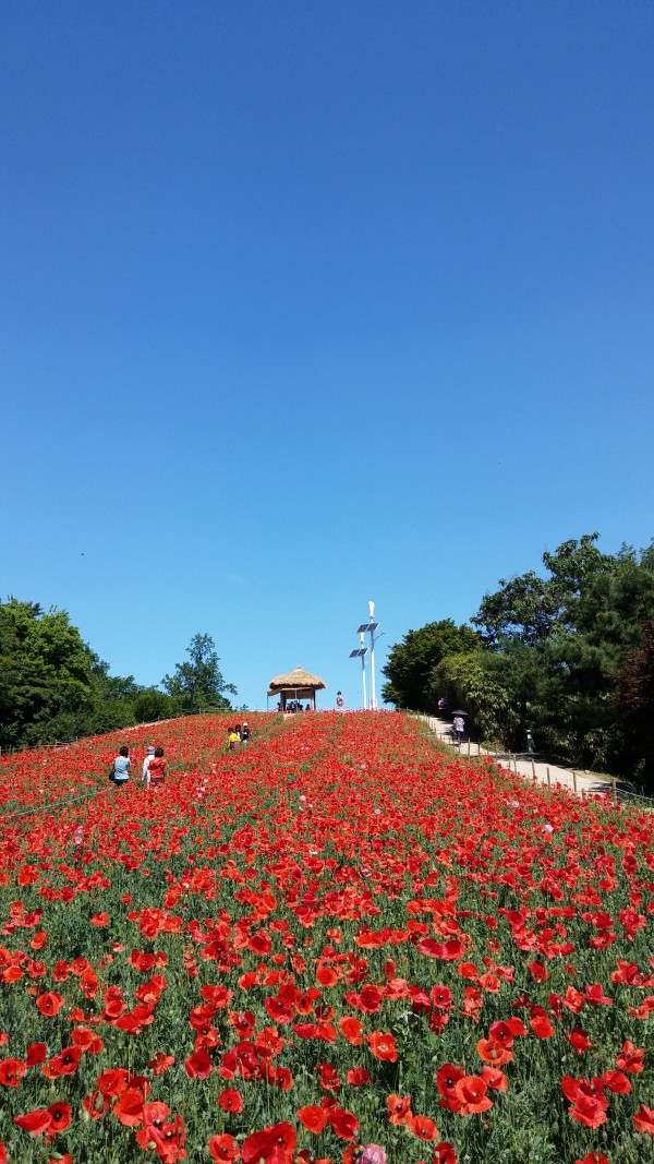 2f89db1afc61a0d099d091aa984d6d3e_1495976