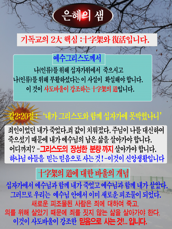 e81d1a229b715e1f04d11f6235cffd9e_1549503