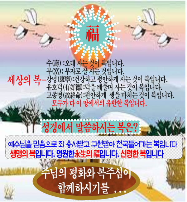 e81d1a229b715e1f04d11f6235cffd9e_1549503