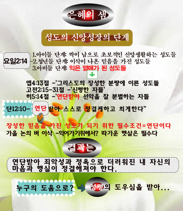 581e24feb3f618590b27b43bf61a401a_1552796