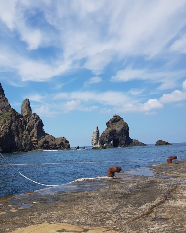 873e2bcd9b6d72fac6a5868442e7c669_1567296