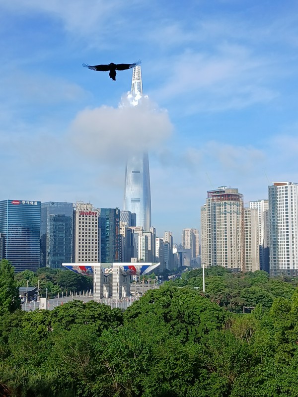 3d5446d5f62f8b1c7d2c17df060099cb_1747476